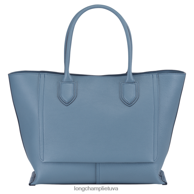 Longchamp pašto dėžutės rankinė šiferis moterys krepšiai X6B2TB173