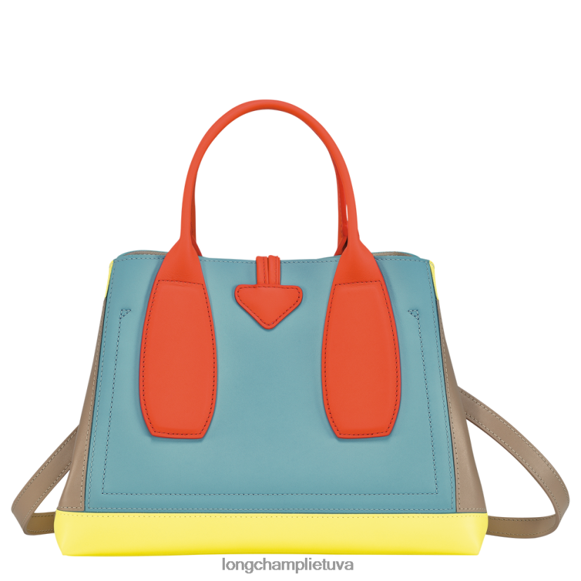 Longchamp roseau rankinė daugiaspalvis moterys krepšiai X6B2TB96