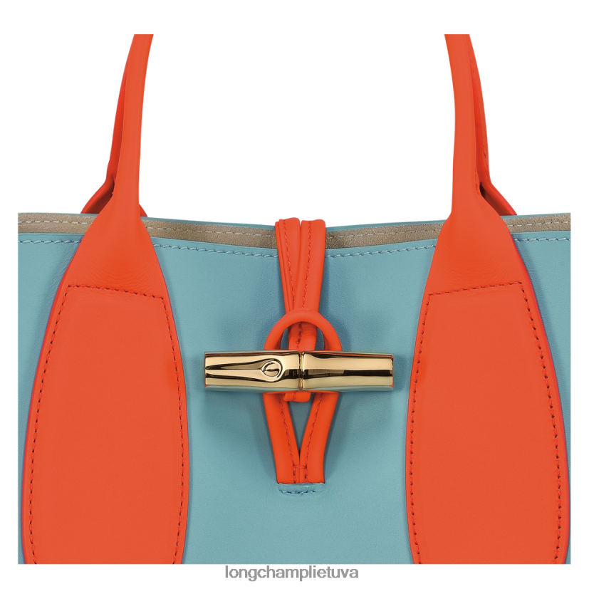 Longchamp roseau rankinė daugiaspalvis moterys krepšiai X6B2TB96